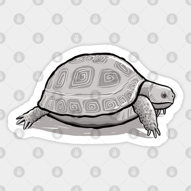 Tortoise Sticker by AdamRegester